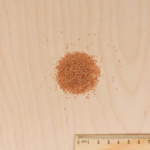 Fleurs - Amarante Queue de Renard - MEDIA_3D